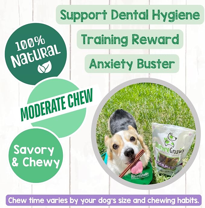 Nature Gnaws Super Skinny Bully Sticks for Small Dogs 5-6" (40 Count) - Long Lasting for Light Chewers and Puppies - Extra Thin Natural Beef Dog Chew Treats