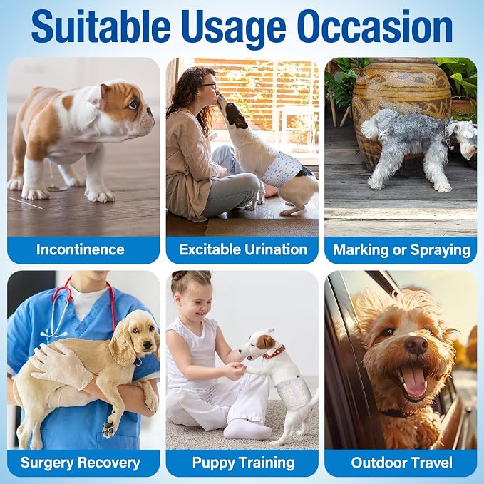 Pet Soft Disposable Male Dog Wraps - Dog Diapers for Male Dogs, Puppy Diapers with Wetness Indicator 48 Counts Medium