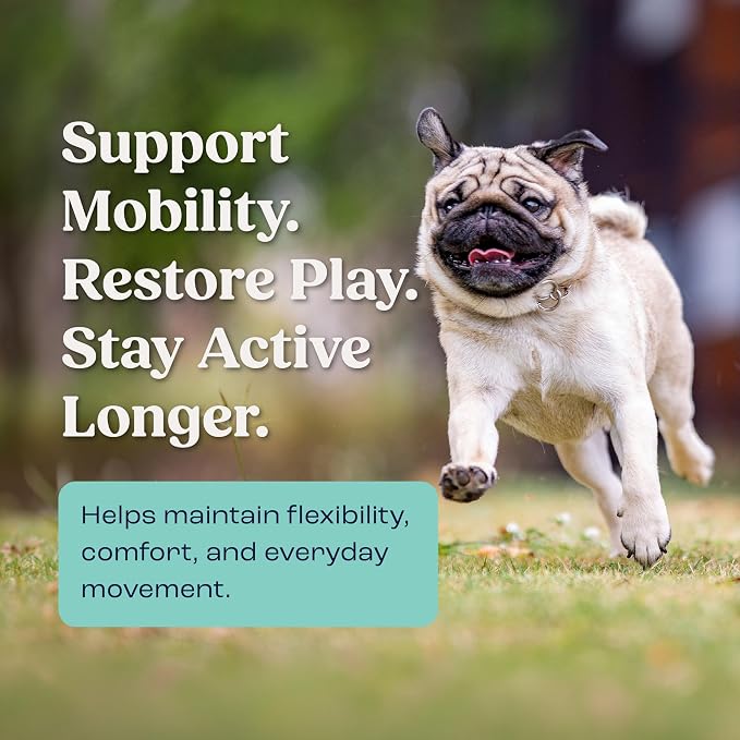 Summit Canine Joint and Mobility Supplement for Small Dogs, All Natural Liquid Chondroitin with Liposomal Delivery for Arthritis, Hip & Joint Support Vitamin, (Dogs <25lbs)