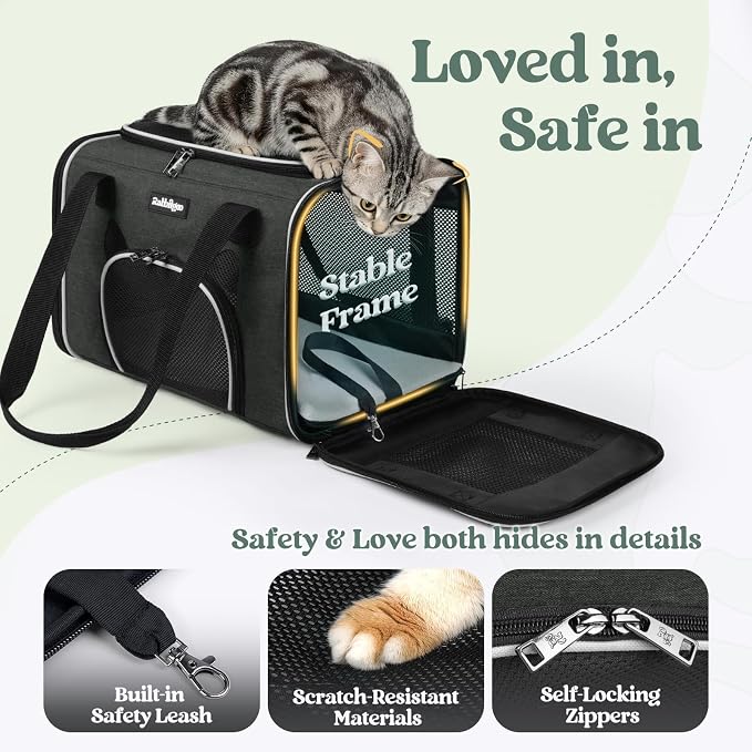 rabbitgoo Cat Carrier Soft Sided, Stable Portable Pet Carrier with Safety Buckles for Car Travel Vet Visit Airline, Comfortable Breathable Kitten Bag for Small Medium Large Cat, Black, 19x12x12 inch