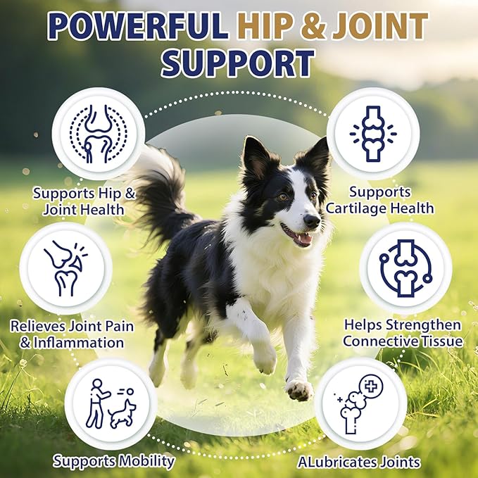 Hip and Joint Supplement for Dogs, 200ct Dog Hemp Calming Chews with Glucosamine, Msm, Chondroitin, Omega 3, Melatonin for Senior Dogs Anxiety, Pain Relief Anti Inflammatory Small/Medium/Large Breed