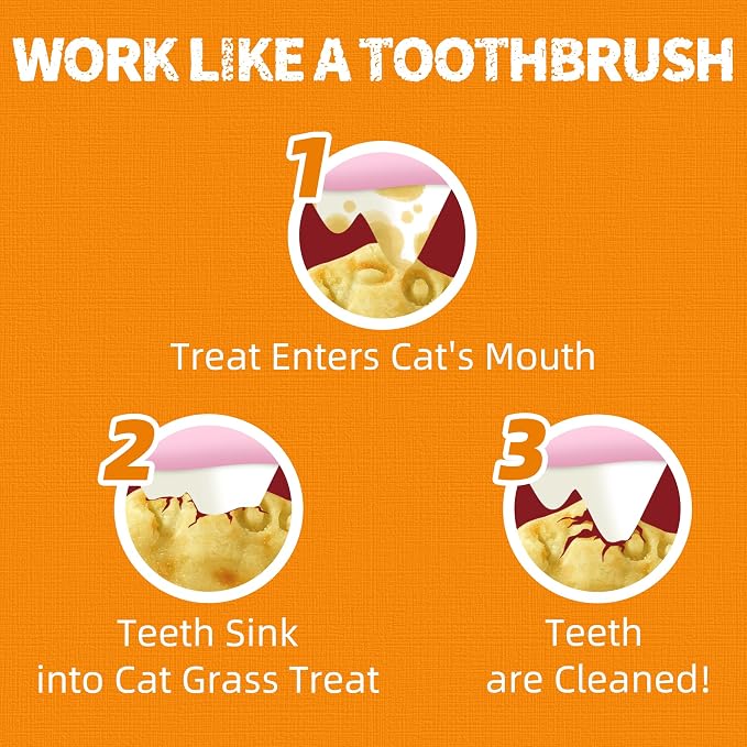 Just Try 36 OZ Pumpkin Cat Treats Cat Constipation Relief Hairball Control Healthy Salmon Snacks Training Biscuits Treats for Digestive Support Low Calorie Kitten Snacks