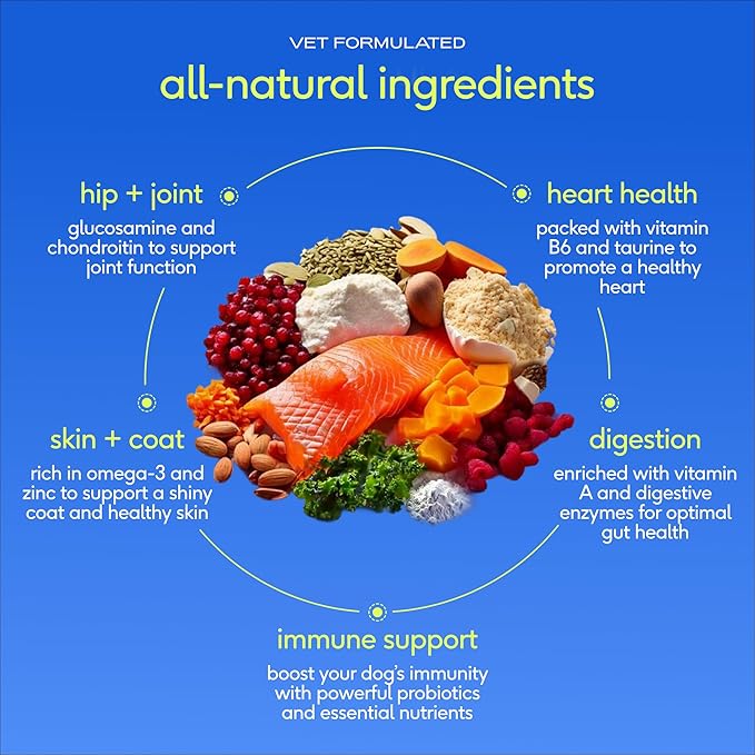 Native Pet The Daily Dog Vitamins & Supplements - 11-in-1 Multivitamin Powder for Dogs - Supports Whole Body Health, Digestion, Mobility & Immunity with Collagen, Glucosamine & Probiotics – 90 Scoops