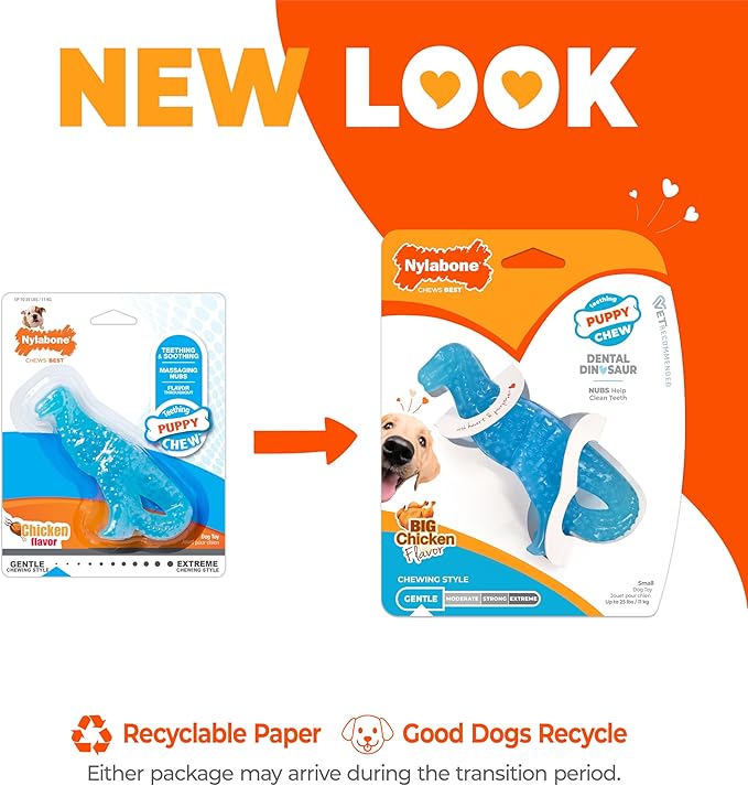 Nylabone Dental Dinosaur Puppy Power Chew Toy, Soothing Puppy Teething Bone, Enrichment Toy for Puppies, Chicken Flavor, Small Dogs - Up to 25 lbs., 1 Count