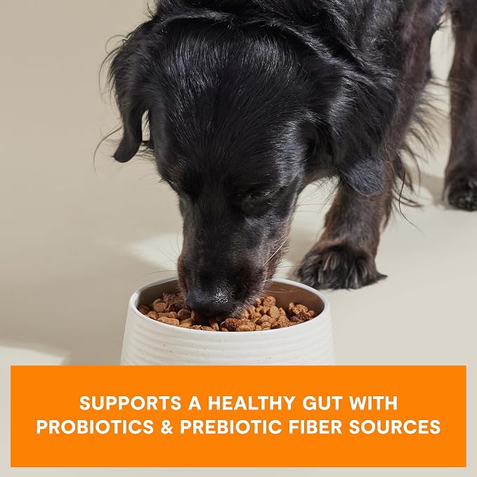 Open Farm, Epic Blend Grain Free High Protein Dry Dog Food, Probiotic Coated & Bone Broth Infused Kibble with Air Dried Meat & Organs, Chicken & Superfood Recipe, 18lb Bag