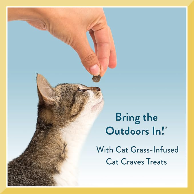 Pet Greens Soft-Chew Indoor Cat Treats Infused with 4 Pack of Semi-Moist Craves Savory Salmon, Deep Sea Tuna, Roasted Chicken and Turkey and Duck Flavored Treats