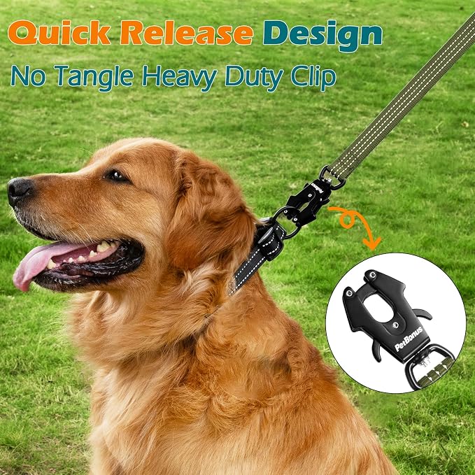 PetBonus Heavy Duty 24 Inch Short Dog Leash and 2-Pack Large Silicone Collapsible Dog Bowls
