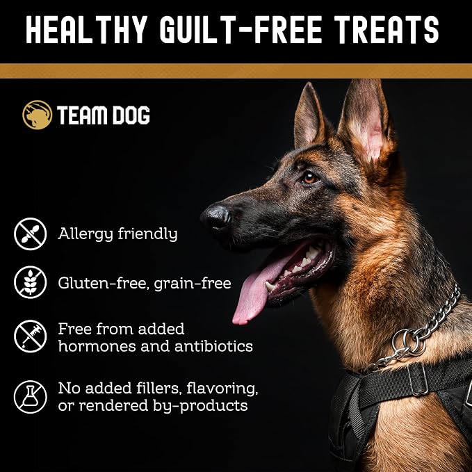 Team Dog Lamb & Salmon Dog Freeze-Dried Raw Treats | Soft Dog Treats & Grain Free Dog Food Topper | USA-Sourced Salmon & Lamb for Cleaner Teeth, Digestive Health & Muscle Growth | 13 oz Bulk Size