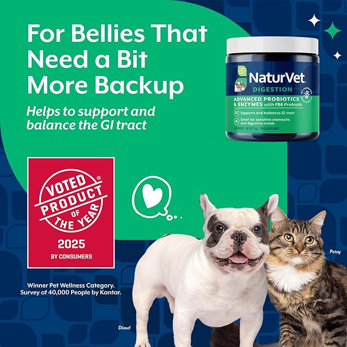 NaturVet – Advanced Probiotics & Enzymes - Plus Vet Strength PB6 Probiotic | Supports and Balances Pets with Sensitive Stomachs & Digestive Issues | for Dogs & Cats (4 oz)