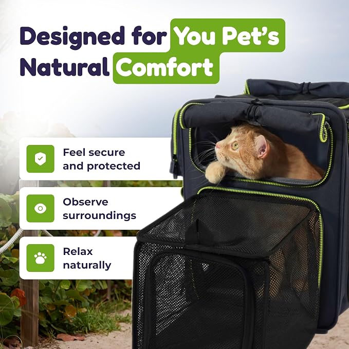 Premium Expandable Cat Carrier Backpack with Car Seat Belt Safety System – Rigid Frame Pet Carrier Backpack for Cats & Small Dogs up to 25 lbs – Breathable, Durable – Includes Bottle & Feeding Bowl