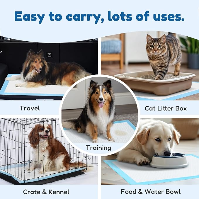 Super Absorbent Waterproof Dog and Puppy Pet Training Pad, Housebreaking Pet Pad, 40-Count Extra Middle-Size, 30’’X30’’, Blue