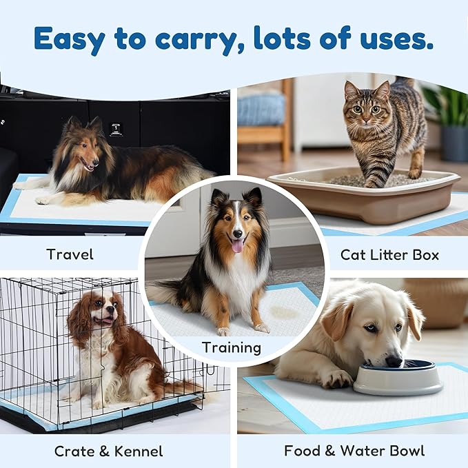 FluffyDream Super Absorbent Waterproof Dog and Puppy Pet Training Pad, Housebreaking Pet Pad,Blue (17.6"x23.6" (50PCS))