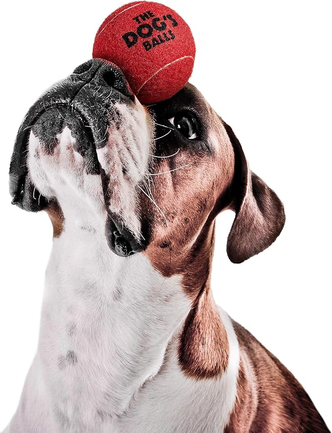 The Dog's Balls Dog Tennis Balls Tough 2.5" 12-Pack Red Floats in Water | Our fetch balls combine non-abrasive felt exterior and a thicker rubber core Durable Dog Toy for Outdoor Play & Training