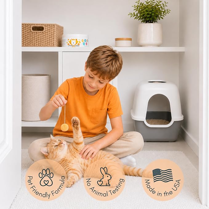 Litter Box Magic Cat Litter Deodorizer (Orange Scent, 16 Oz, Pack of 2) – Premium Cat Litter Odor Eliminator Gel Jar | Cat Odor & Stain Removers, Urine Odor Eliminator & Pooping Deodorizer, Non Toxic