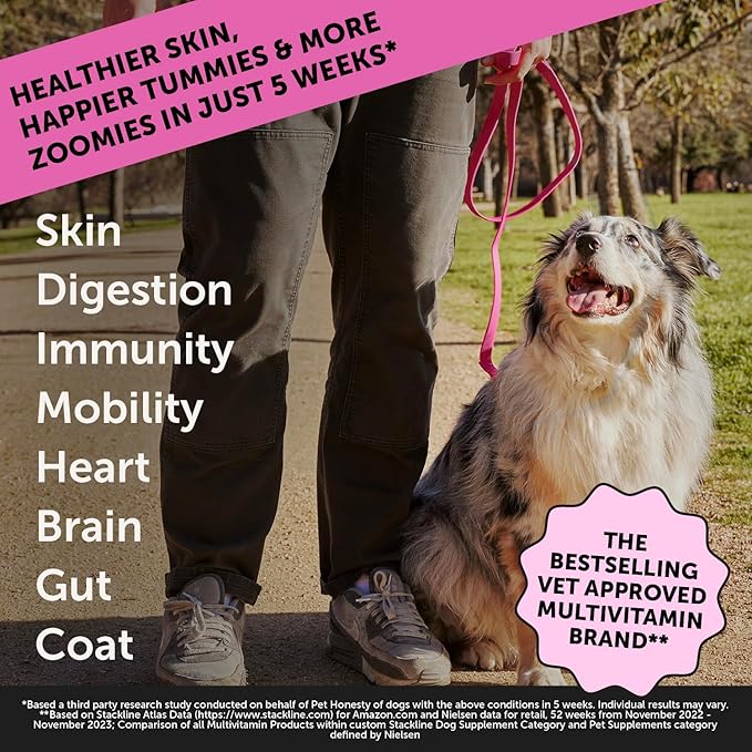 Max Strength Dog Multivitamin with Glucosamine & Probiotics - Advanced 15-in-1 Supplement for Hip & Joint Support, Digestive Health, Immune & Heart Care - High Potency Omega-3 Vitamins (Salmon, 90 Ct)