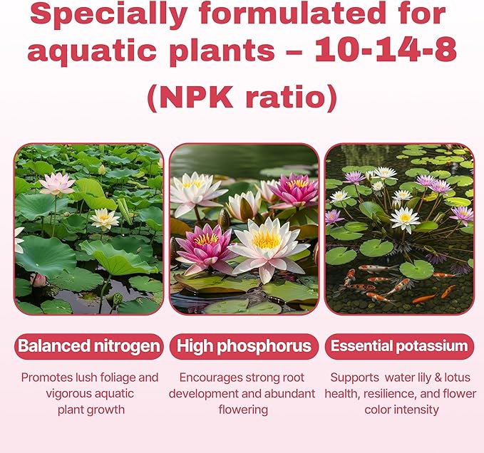 Aquatic Plant Fertilizer for Water Lily and Lotus,Water Lily Fertilizer Tablets-Fish Friendly,Lotus Fertilizer- Supports Lily and Lotus Blooming & Root Growth,Pond Plant Fertilizer-100 Tablets