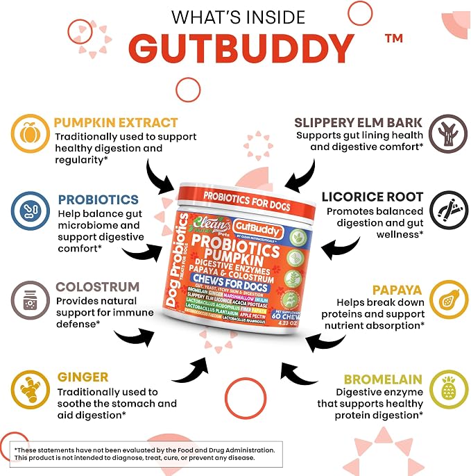 Gut Health Probiotics for Dogs + Pumpkin Colostrum Digestive Enzymes Ginger Slippery Elm Licorice Inulin Fiber Soft Chews Dog Probiotic Beef Flavor Digestion Supplement Treat Bites Large & Small Pets