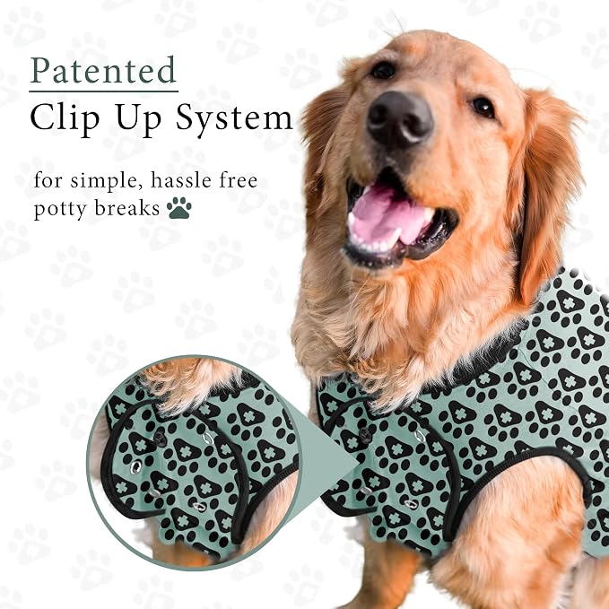 BellyGuard Dog Surgery Recovery Suit, Post-Op Dog Recovery Suit for Female Spay & Male Neuter, Comfy Onesie for Pets, Surgical Body Cover for Canine Healing Support