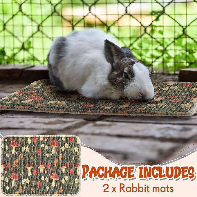 Drydiet 16 x 12 Inch 2 Pcs Rabbit Scratch Mat Natural Bunny Scratching Pad Claws and Teeth Care Rabbit Mats for Cages Chew Toys Bunny Pet Cage Bedding for Biting Sleeping Nesting