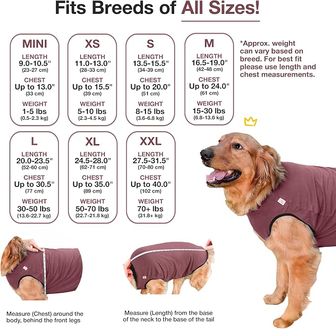 BellyGuard Dog Surgery Recovery Suit, Post-Op Dog Recovery Suit for Female Spay & Male Neuter, Comfy Onesie for Pets, Surgical Body Cover for Canine Healing Support