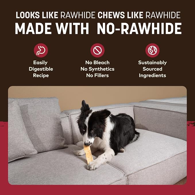 Earth Animal No Hide Strips - Natural Rawhide Free Dog Chew Strips, Beef - 10 Count Value Pack