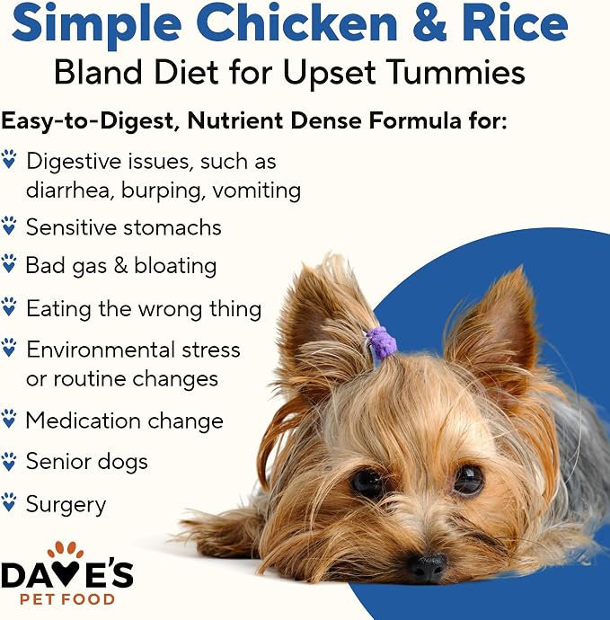 Dave's Pet Food Bland Diet Dog Food (Chicken & Rice), Upset Stomachs, Easy to Digest Pate, Gluten & Wheat Free, Complete & Balanced Meal or Topper, Limited Ingredient, 5.5 oz (Case of 24)
