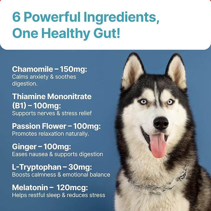 TPC Calming Chews for Dogs – 70 Soft Chicken-Flavored Treats for Anxiety Relief, Fireworks & Thunderstorm Stress, Separation, Sleep Aid & Hyperactivity – Natural Melatonin & L-Tryptophan