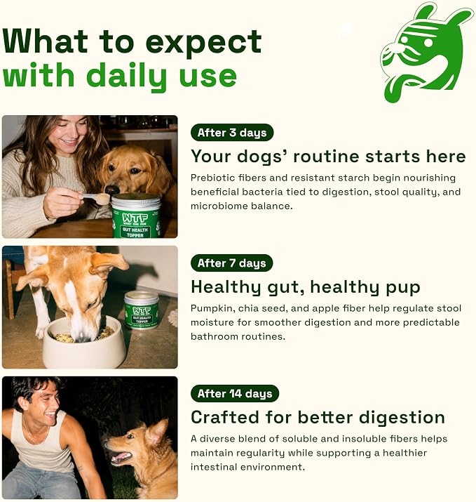Gut Health Topper for Dogs – Digestive Support Powder with Real Beef, Pumpkin, Apple Fiber & Prebiotic Fiber | Helps Support Firm Stools, Sensitive Stomachs & Healthy Digestion | 100g