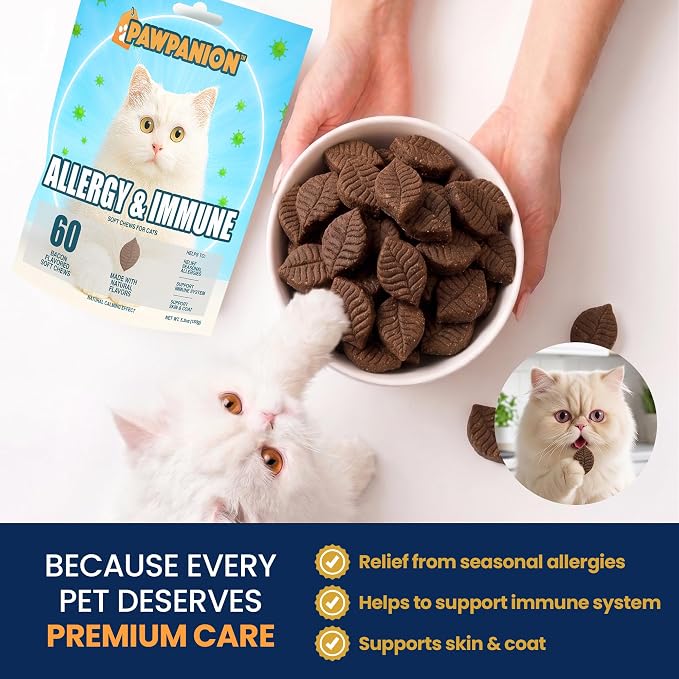 Allergy Soft Chews for Cats Itchy Skin Relief 60 Count