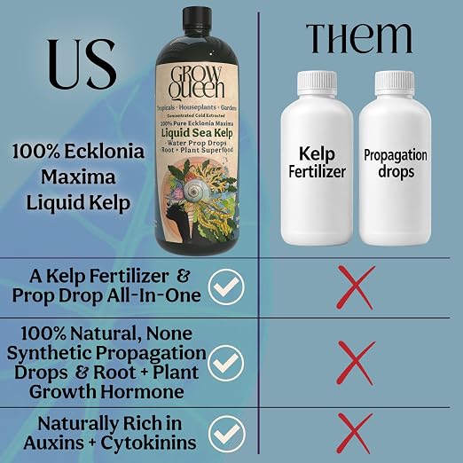 Organic Liquid Kelp & Seaweed Extract Prop Drop (Ecklonia Maxima) – Root + Plant Growth Hormone & Root Plant Food for Water Propagation, Hydroponics & Soil – 8oz 55 Gallons