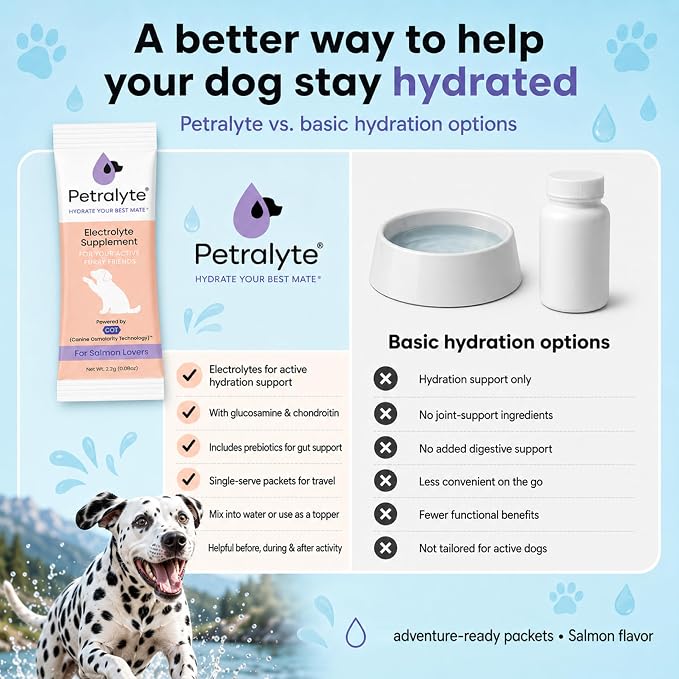 Dog Electrolytes and Joint Supplement | Hydration Support for Dogs w/Glucosamine, Chondroitin & More | Electrolytes for Dogs with Prebiotics | Salmon Lovers | 32 Packets
