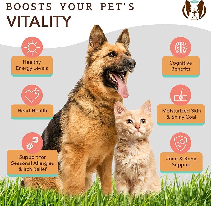 Natural Dog Company Healthy Skin Bundle, Supports Healthy Skin and Relieves Dry, Itchy Skin, Allergy Relief for Dogs
