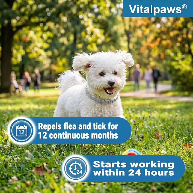 Flea Collar for Small Dogs 2 Pack - 12 Month Natural Flea and Tick Prevention for Dogs, Waterproof Puppy Flea Collar with Continuous Release, Adjustable Dog Collar