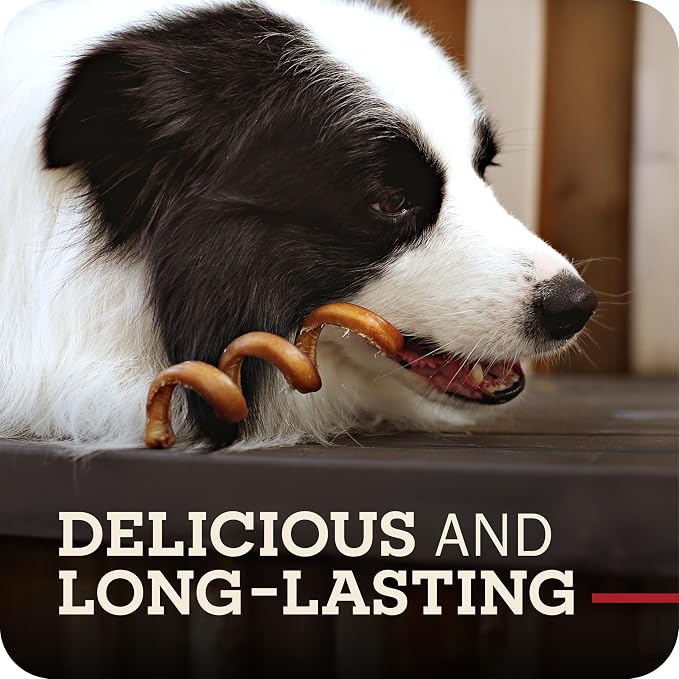 Redbarn Bully Spring Dog Chews 4"-6" 3-Count- 100% Natural Single Ingredient Beef Pizzle Spiral Sticks for Medium to Large Dogs - Rawhide Free Long Lasting Dental Chews