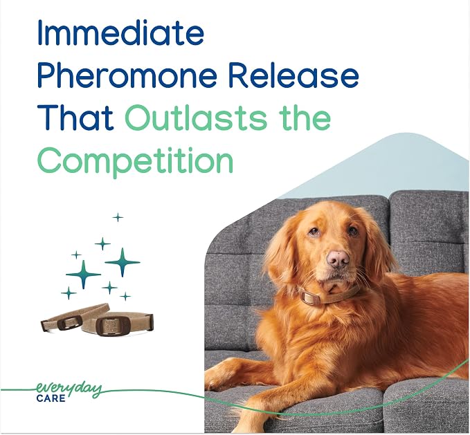 Virbac ZENIDOG® Long-Acting Collar for Dogs | Calming Pheromone Collar for Stress Relief, Medium/Large Dog - Lasts up to 3 Months
