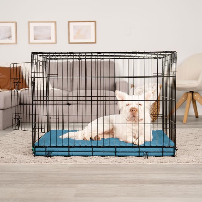 Furhaven Orthopedic Dog Bed – Puffy Quilted Foam Mattress with Removable Washable Cover, Soft & Supportive for Kennels & Crates - Large, Lagoon