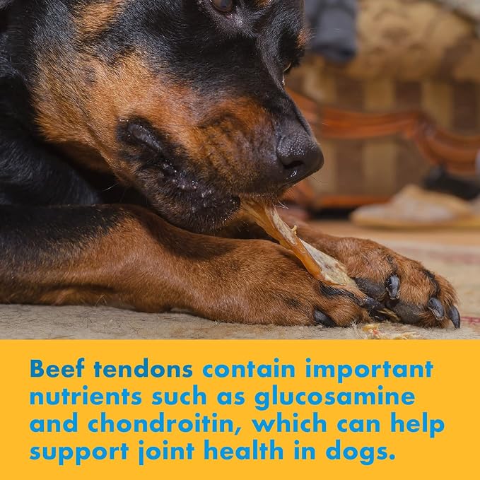 123 Treats Beef Tendon Chews for Dogs – 7-9 inches Beef Strap Chew Sticks, High in Protein, 100% Natural, Grain & Gluten-Free Dog Treats, Great for Dental Health (25 Count)
