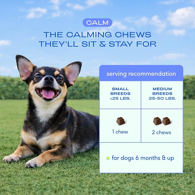 Native Pet Calming Chews for Dogs - Promotes Calming Effect, Supports Emotional Balance & Reduces Hyperactivity - Hemp Seed, Melatonin for Dogs, L-Theanine & Casein - Air-Dried 30 Chews