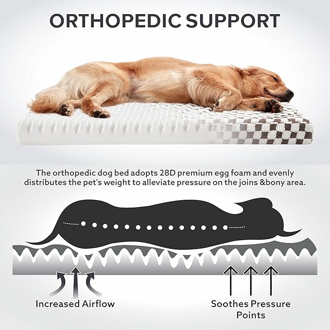 JOEJOY Dog Bed for Medium Dogs, Large Orthopedic Dog Bed with Removable Washable Cover, Cute Modern Plush & Memory Egg Crate Foam Dog Bed, 30 x 20 inch, Cofffee