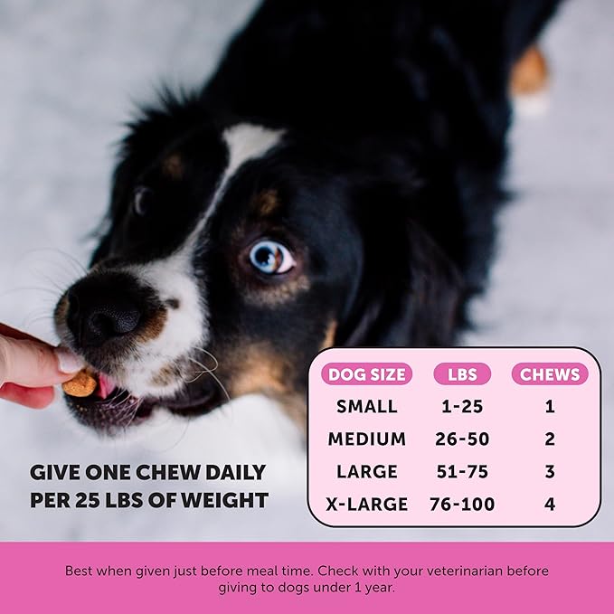 Senior Dog Multivitamin Supplement for Aging Dogs - Hip & Joint Stiffness, Eye Health, Brain & Heart Care - Older Dog Vitamins with Glucosamine & Probiotics - Immune Support & Vitality (Duck, 90 Ct)