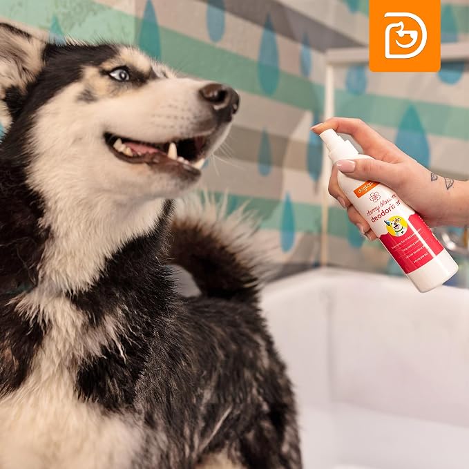 Dogtopia 3-in-1 Paw Balm & Deodorizer Spray - Between Baths Bundle for Pets | Moisturizing Balm for Cracked Skin (2oz) & Long-Lasting Cherry Blossom Odor Eliminator (8oz) for Dogs & Cats