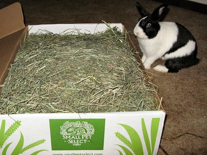 Small Pet Select 3rd Cutting "Super Soft" Timothy Hay Pet Food, 20 Lb.