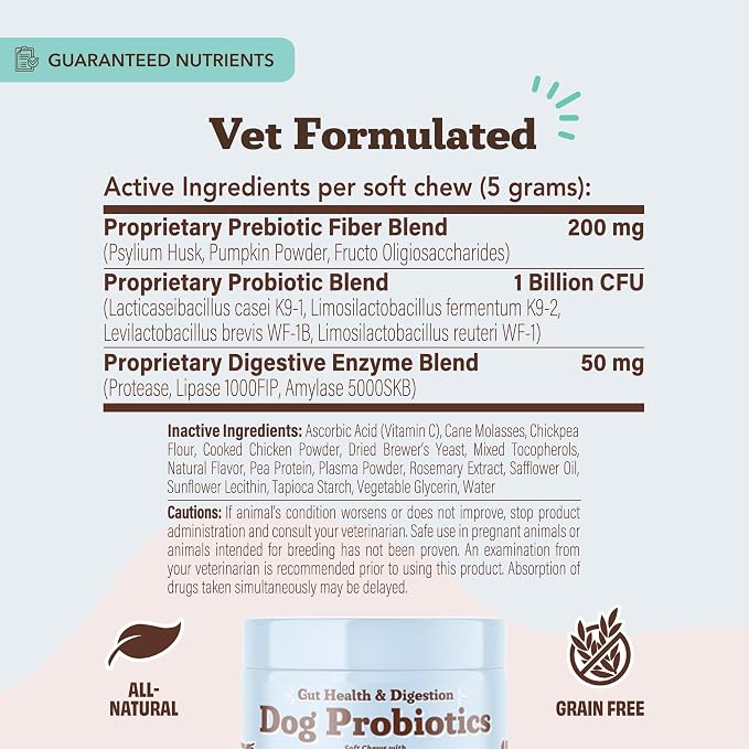 Natural Dog Company Probiotics for Dogs – Dog Probiotic Chews with 1B CFUs, Canine-Specific Microencapsulated Strains, Prebiotics & Enzymes for Digestive Health, Stool & Immune Support, 45 Ct