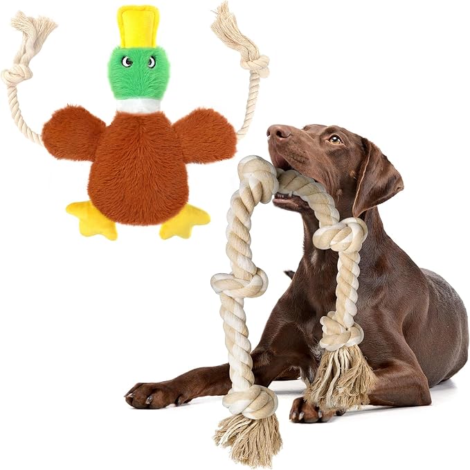Fida Dog Rope Toys and Duck Dog Rope Toys Set, Dog Toys to Keep Them Busy, Squeaky Dog Toys for Large Dogs, Intactive Dog Rope Toy Plush Duck Dog Toys for Small Medium Dogs
