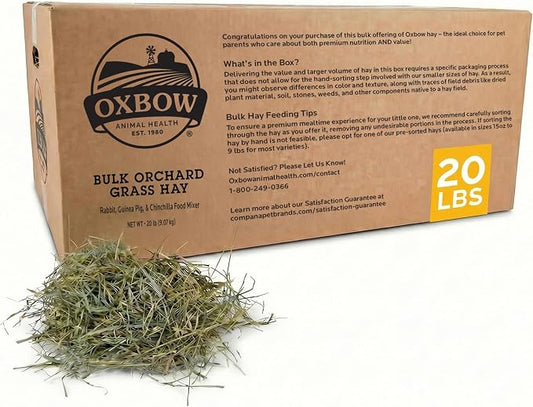 Oxbow Orchard Grass Hay, Rabbit & Guinea Pig Hay, High Fiber for Digestive Health, Grown in USA, Veterinarian Recommended Small Pet Supplies, Bulk Food for Rabbits, Guinea Pigs, & Chinchillas, 20 lbs
