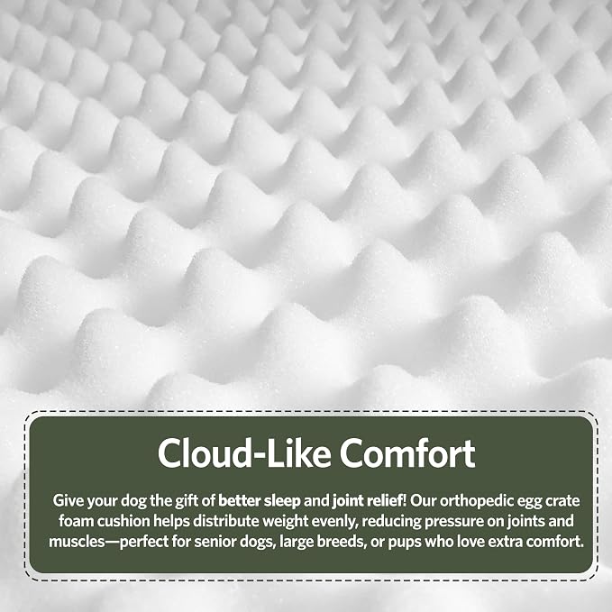 MidWest Homes for Pets Orthoperdic Egg-Crate Nesting Pet Bed w/Teflon Fabric Protector, Small Green