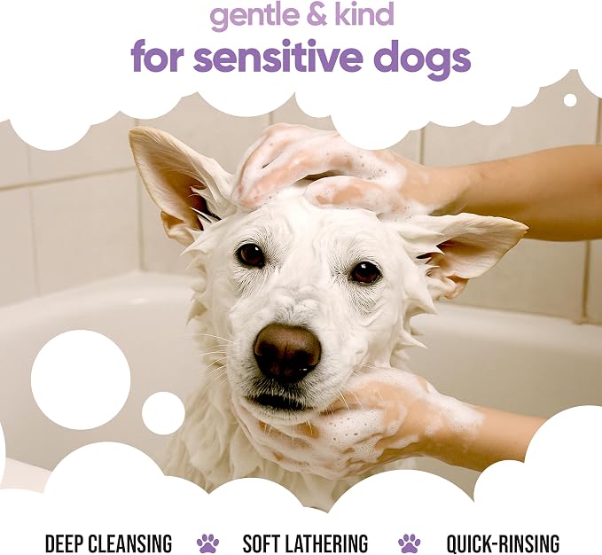 White Dog Shampoo by Buddycare | Brightening and Whitening Shampoo for Dogs | Deep Cleansing, Fresh Scented | with Aloe Vera and Pro Vitamin B5 (169.07oz)