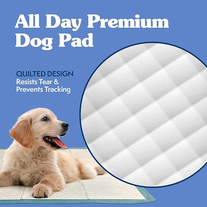 Simple Solution Extra Large Pee Pads For Dogs, Puppy Potty Training, Leak Proof Dog Pads, Pet Pee Pad, Disposable Puppy Pad, XLARGE 28"x30", 100 Count