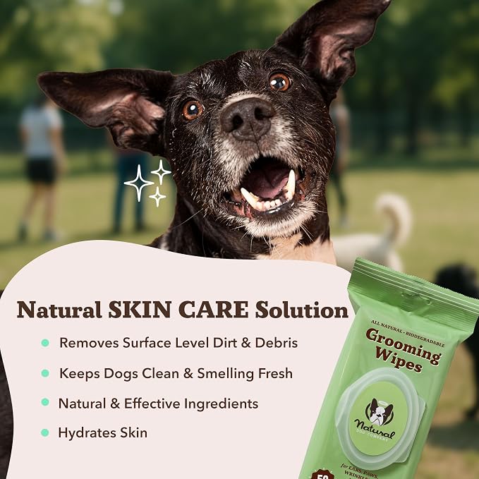 Natural Dog Company Eye & Grooming Wipes Bundle for Dogs – Tear Stain Remover & Full-Body Deodorizing Wipes with Green Tea, Goldenseal & Aloe – Hypoallergenic, Vegan – 100 ct + 50 ct
