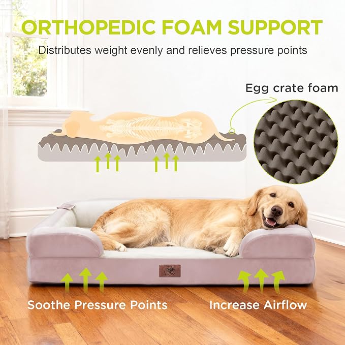 Orthopedic Memory Foam Dog Bed, 42x30, Waterproof for Large Dogs | Removable washable cover. Egg crate foam for joint relief. Non-slip base. Tennis ball toy included. For extra large breeds.